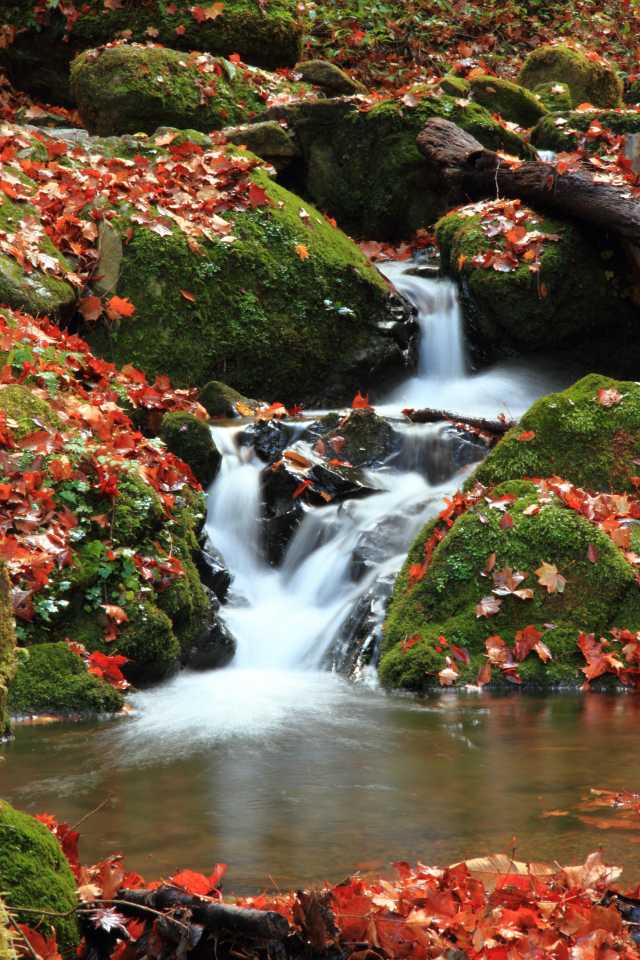 西東京遊記發現多摩地域魅力之旅 好運日本行