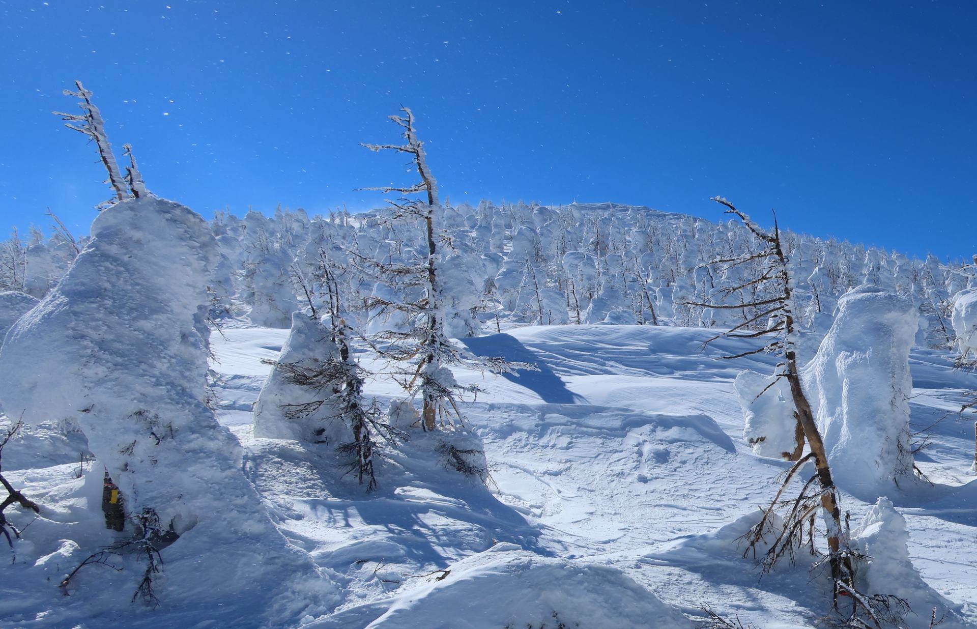 山形が誇る冬の絶景！蔵王樹氷を最大限に楽しむ観光ガイド | GOOD LUCK TRIP