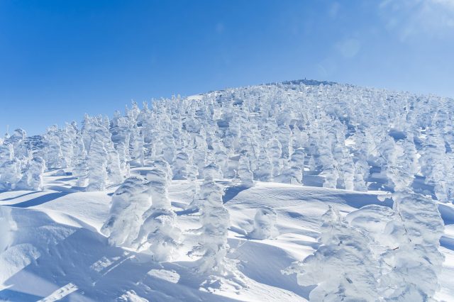 山形が誇る冬の絶景！蔵王樹氷を最大限に楽しむ観光ガイド | GOOD LUCK TRIP