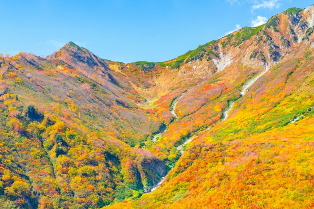 山と海の雄大な自然を満喫!富山の厳選観光スポット16選 | GOOD LUCK TRIP