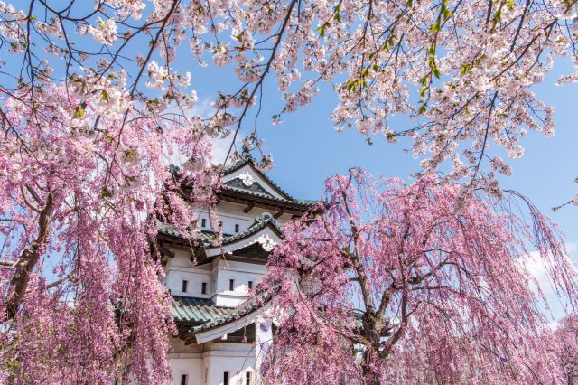 豊かな自然と伝統文化を感じよう!青森の定番観光スポット20選 | GOOD LUCK TRIP