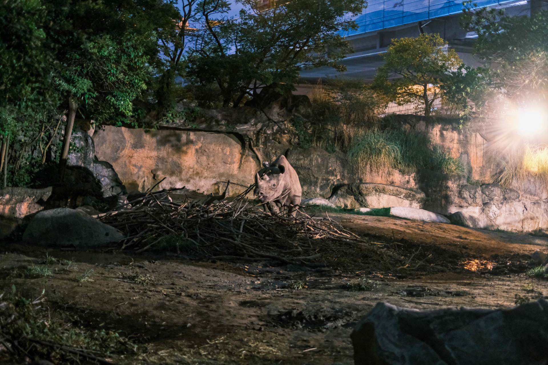 大阪の中心で動物に癒される!天王寺動物園の観光ガイド | GOOD LUCK TRIP