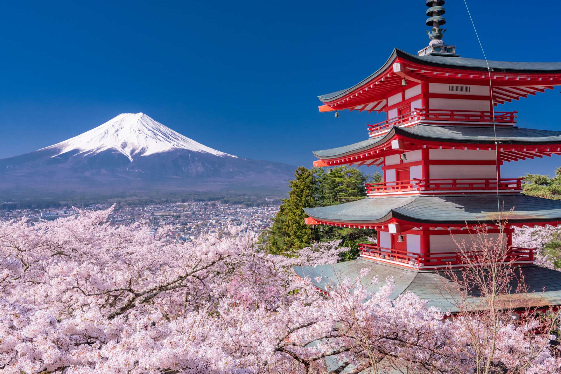 【富士山完整指南】必看重點&周邊景點一篇掌握！ | 好運日本行