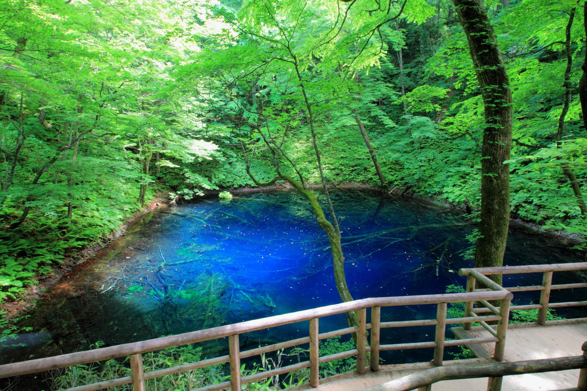 プランを立てる前に読むべき青森旅行ガイド | GOOD LUCK TRIP