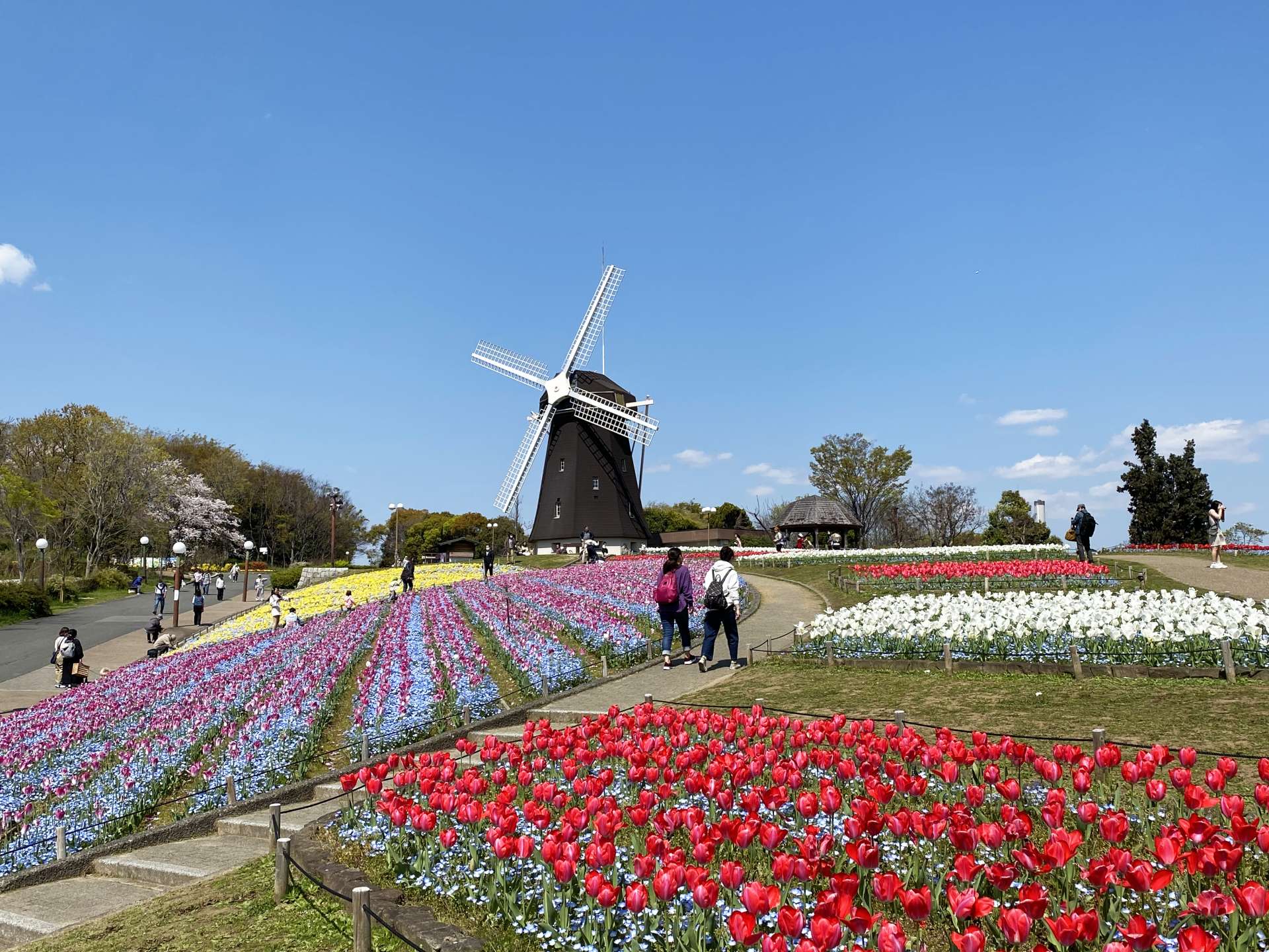 Hanahaku Memorial Park Tsurumi Ryokuchi MustSee, Access, Hours