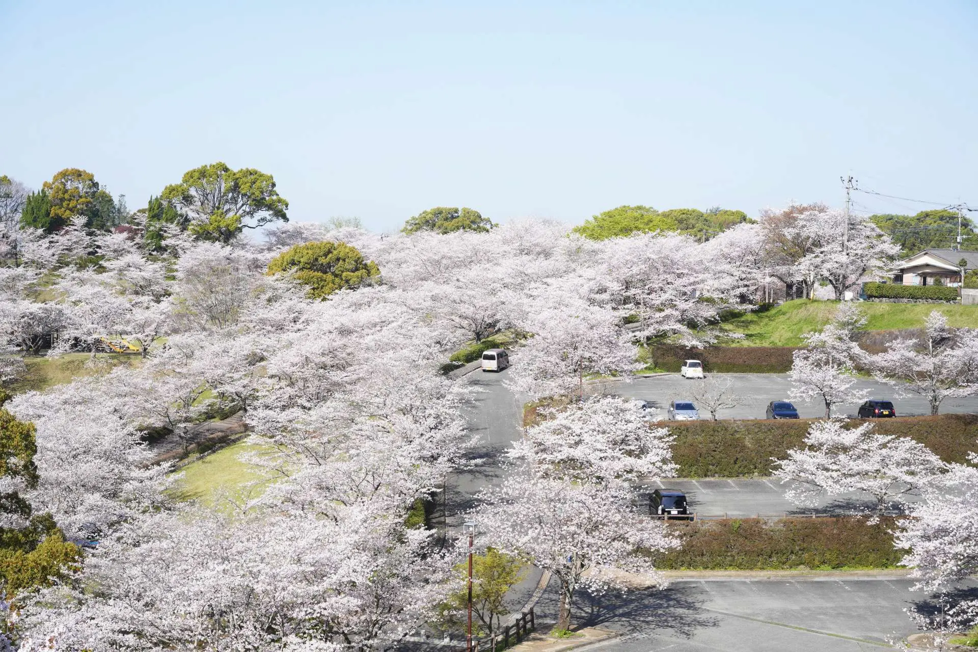 【菊池公园】景点指南、交通 & 周边景点资讯 好运日本行